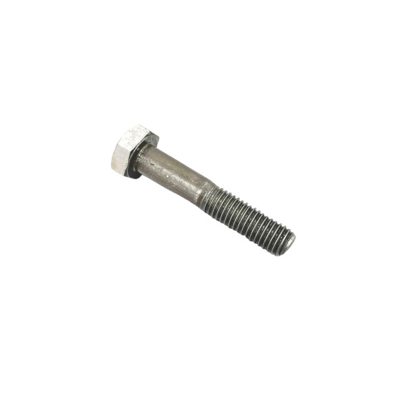 Болт М10*55