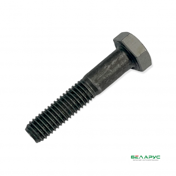 Болт М10*50