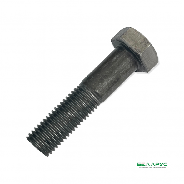 Болт М24*100